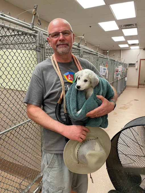 Justin Noel wearing an ng-conf T-shirt while holding a puppy at an animal shelter.