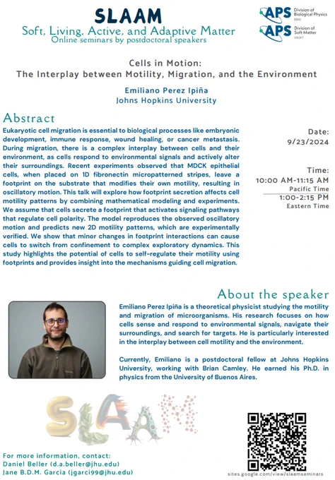 Join us for today's SLAAM seminar, will be given by Dr. Emiliano Perez Ipiña (Johns Hopkins University) at 10 am PT. 
Title: Cells in Motion​: The Interplay between Motility, Migration, and the Environment. The image shows the abstract and introduction to the speaker.