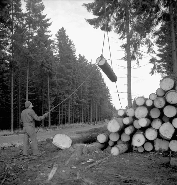 Forestiers canadiens coupant du bois en 1944. 