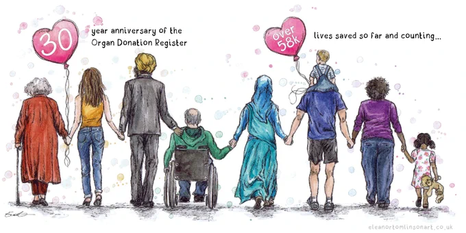 An illustrated scene of a diverse group of people holding hands, standing in a line facing away. The group includes an elderly person with a cane, a woman in a wheelchair, a person in a hijab, a man carrying a child on his shoulders, and a young girl holding a teddy bear. Two pink heart-shaped balloons float above the group. One reads "30 year anniversary of the Organ Donation Register," and the other reads "Over 58k lives saved so far and counting..." The illustration is by Eleanor Tomlinson and celebrates the diversity of those impacted by organ donation.