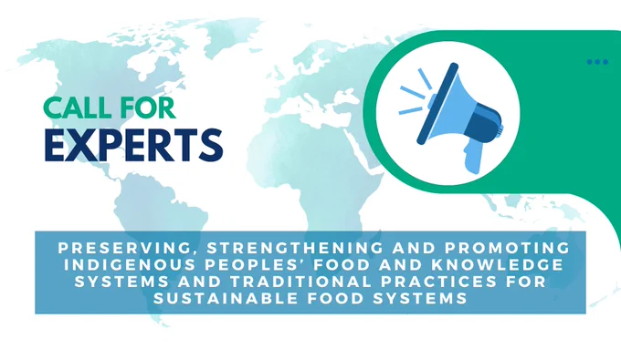 HLPE-FSN call for experts