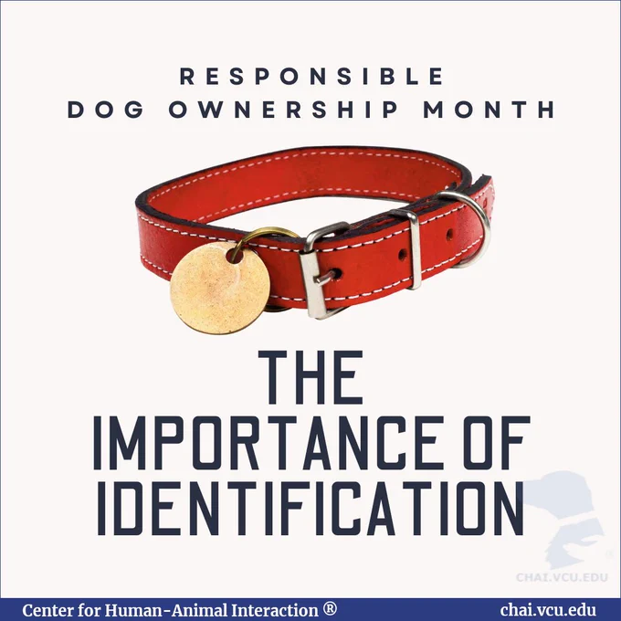 Image Description: Graphic contains a centered image of a dog collar and identification tag. Text reads: Responsible Dog Ownership Month. The Importance of Identification. 