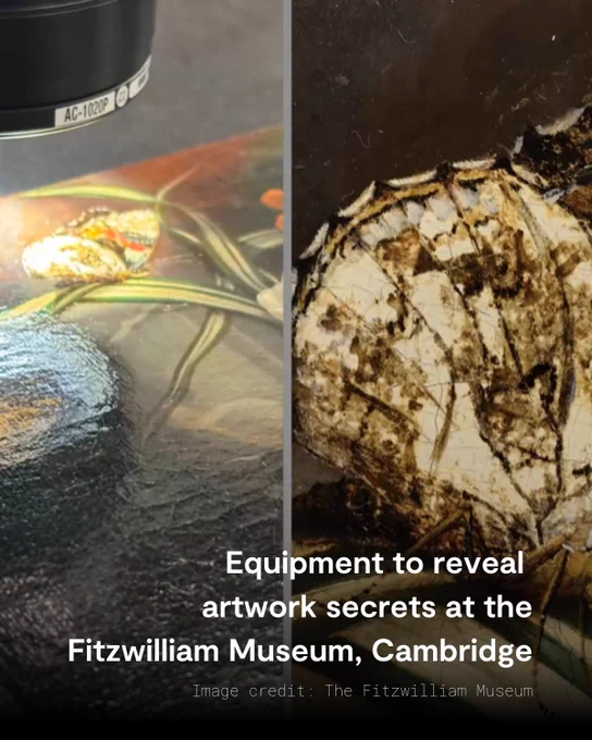 Image of painting by Rachel Ruysch being inspected by a 3D digital microscope, revealing the use of butterfly wings and scales.
Text reads: Equipment to reveal artwork secrets at the Fitzwilliam Museum, Cambridge.
Image Credit: The Fitzwilliam Museum