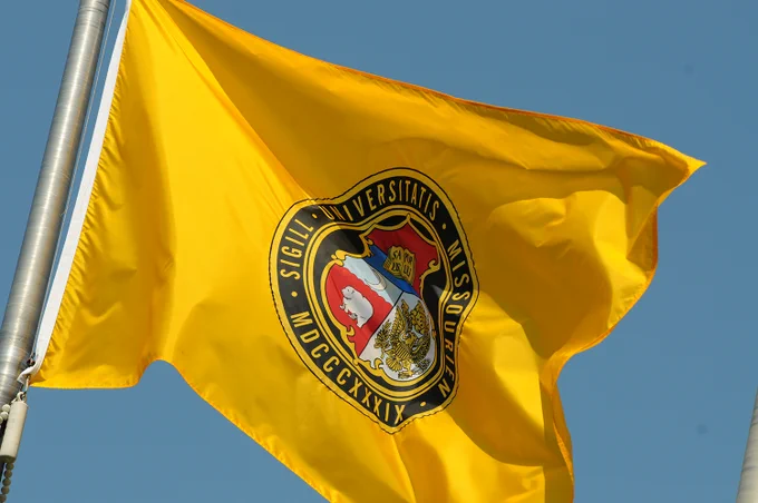 A gold UM System flag. 