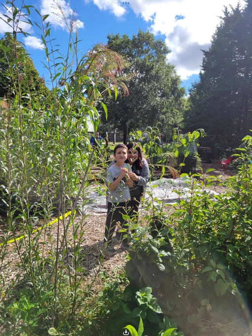garden