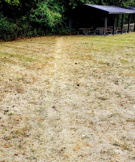 A path worn into the ground at a park, sometimes referred to as a goat path.