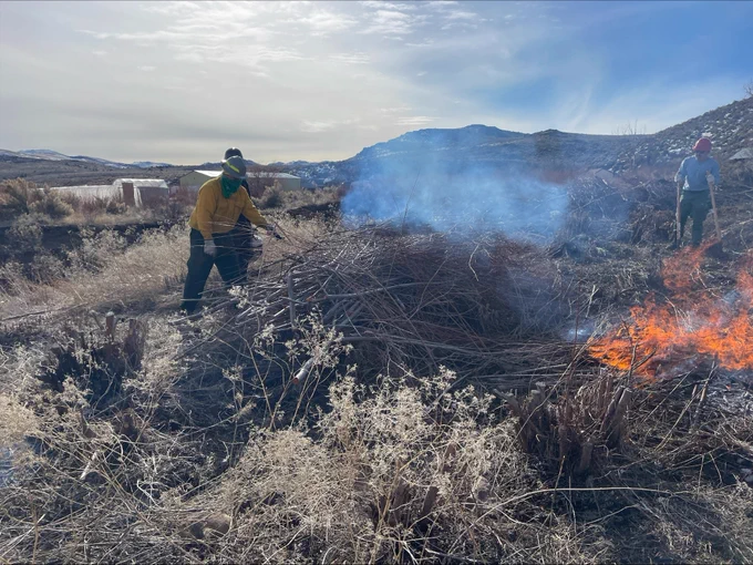 Members of the Washoe Tribe burn piles in an overgrown area near Dresslerville, Nevada to promote new willow growth, a key resource for traditional basket making.