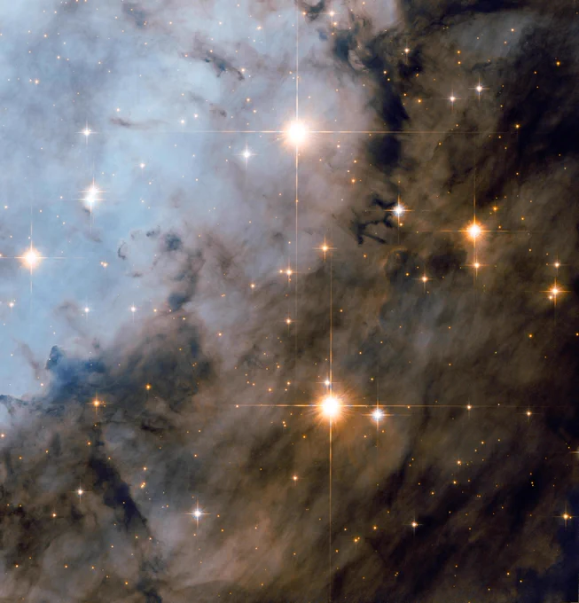 Several bright stars shine in yellow, orange, and white hues. The stars have diffraction spikes, and two are particularly large just above and below the image's center. The background is full of dark brown dust and gas that covers most of the diagonal right half of the view, with pale blue gas glowing in the upper left section.
