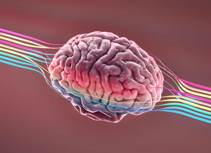 Computer generated image of a brain with multicoloured brainwaves coming out of either side.