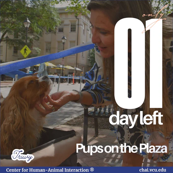 Image Description: A photo of Truvy the therapy dog being pet by an employee is in the background. Text Reads: 01 day left, Pups on the Plaza. Truvy.