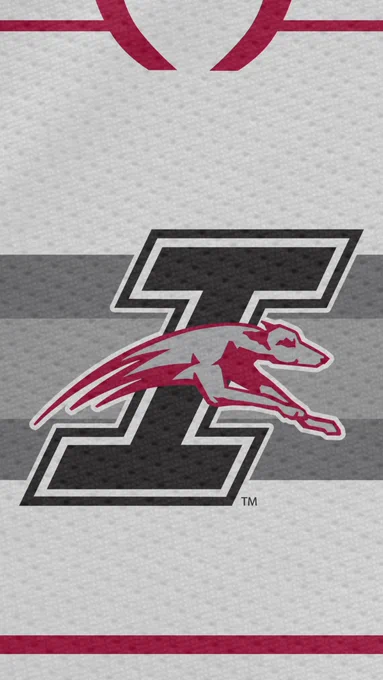 White jersey with flying I logo in the center. Crimson trim with gray lines in middle.