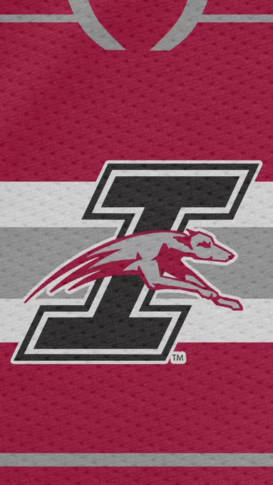 Crimson jersey with flying I logo in the center. Grey trim.