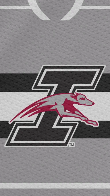Grey jersey with flying I logo in the center. Grey trim with black lines in the middle surrounding one thick white line.