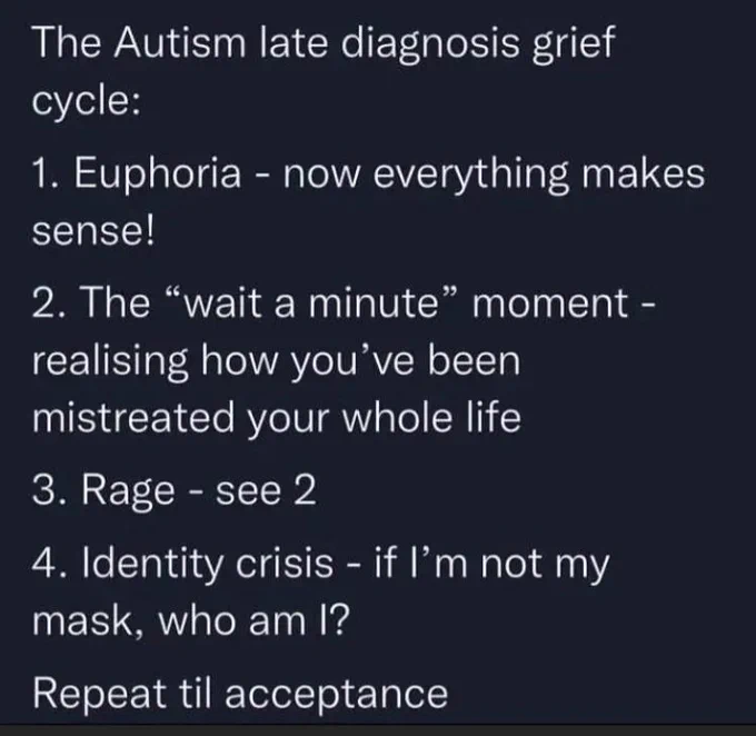 The Autism late diagnosis grief cycle:
1. Euphoria - now everything makes sense!
2. The "wait a minute" moment - realizing how you've been mistreated your whole life
3. Rage - see 2
4. Identity crisis - if I'm not my mask, who am I?
repeat till acceptance