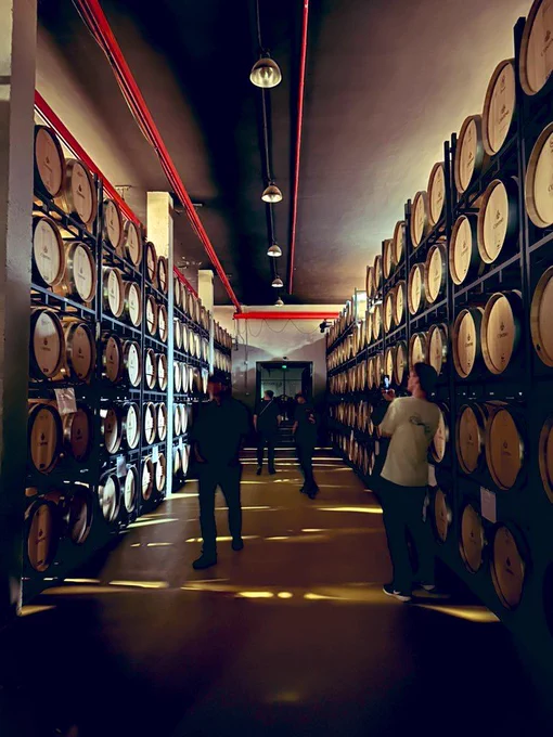 Vine cellar with wine barrels stacked on top of each other