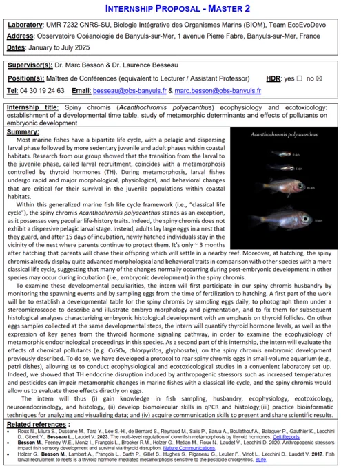 Proposal number 2 on the embryonic development of the spiny chromis