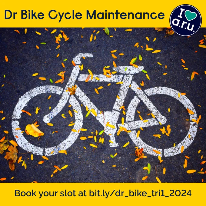 A bike painted on the ground with autumnal leaves scattered around.