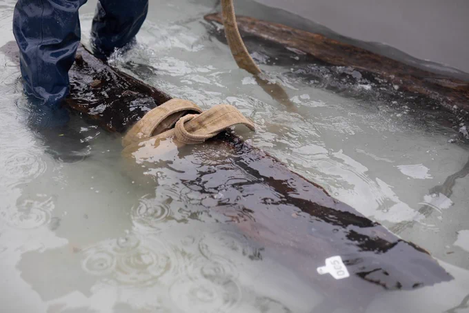 A submerged piece of timber in the tank. The water is crystal clear.