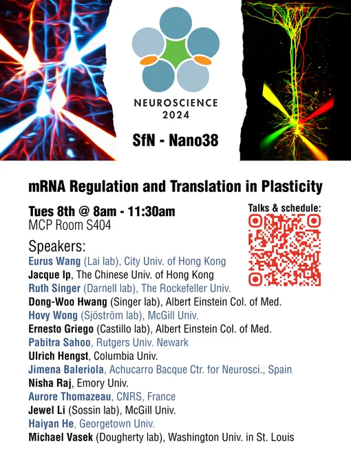 
mRNA Regulation and Translation in Plasticity
Tues 8th @ 8am - 11:30am
MCP Room S404

Speakers:
Eurus Wang (Lai lab), City Univ. of Hong Kong
Jacque Ip, The Chinese Univ. of Hong Kong
Ruth Singer (Darnell lab), The Rockefeller Univ.
Dong-Woo Hwang (Singer lab), Albert Einstein Col. of Med.
Hovy Wong (Sjöström lab), McGill Univ.
Ernesto Griego (Castillo lab), Albert Einstein Col. of Med.
Pabitra Sahoo, Rutgers Univ. Newark
Ulrich Hengst, Columbia Univ.
Jimena Baleriola, Achucarro Bacque Ctr. for Neurosci., Spain
Nisha Raj, Emory Univ.
Aurore Thomazeau, CNRS, France
Jewel Li (Sossin lab), McGill Univ.
Haiyan He, Georgetown Univ.
Michael Vasek (Dougherty lab), Washington Univ. in St. Louis
 