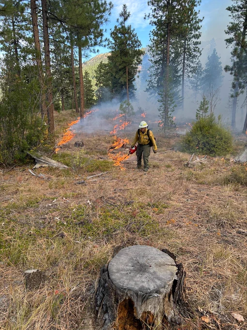 A person puts fire down on the ground during a prescribed burn in Chelan County.