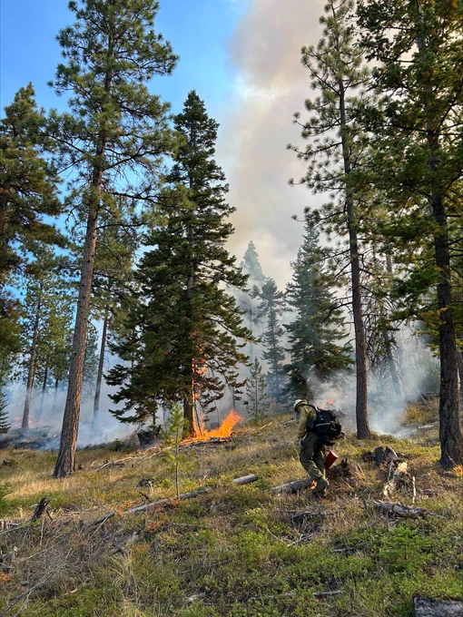 A person puts fire down on the ground during a prescribed burn in Chelan County.