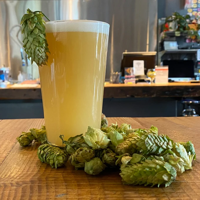 A hazy pint of beer surrounded by fresh hop cones and garnished with a large hop on the rim