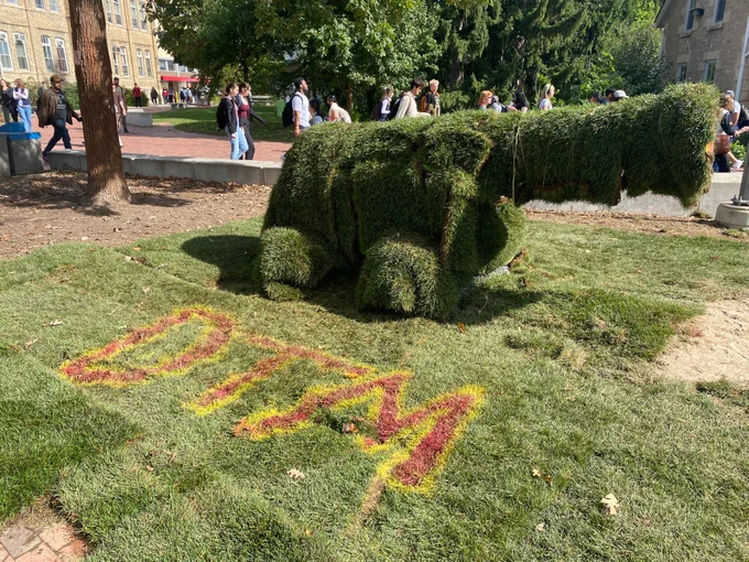 A cannon covered with turfgrass sod