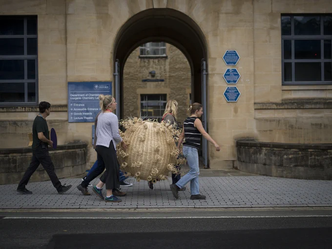 Four people carrying a large woven sculpture of Covid-19 across a street in front of the Department of Chemistry at the University of Oxford.
