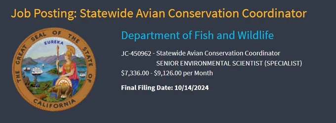 Job Posting: Statewide Avian Conservation Coordinator

 
State Seal Logo
 
Department of Fish and Wildlife

JC-450962  -  Statewide Avian Conservation Coordinator
SENIOR ENVIRONMENTAL SCIENTIST (SPECIALIST) 
$7,336.00 - $9,126.00 per Month

Final Filing Date: 10/14/2024

