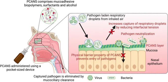 PCANS comprises mucoadhesive biopolymers, surfactants and alcohol

PCANS administered using a pocket-sized device

Captured pathogen is eliminated by mucociliary clearance