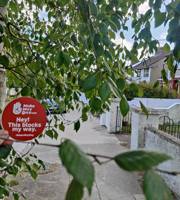 The dreaded, light weight, low branches of a tree, which can be blown into a pedestrian's face in a second. Worse when wet!