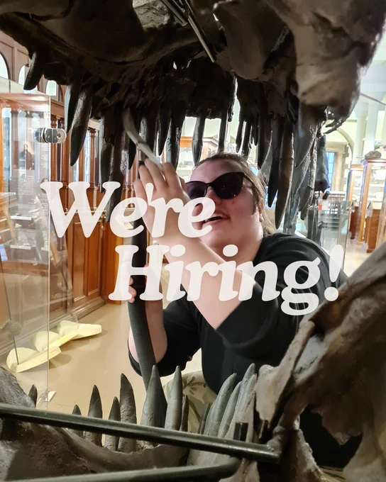 The text 'We're Hiring!' is shown over an image of a member of the collections team who is cleaning the teeth of a dinosaur skull using a small brush