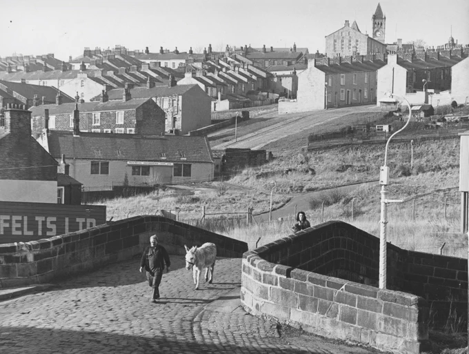 Black and white photo of Colne from the 1970s of houses in the background and a man and a donkey crossing a bridge