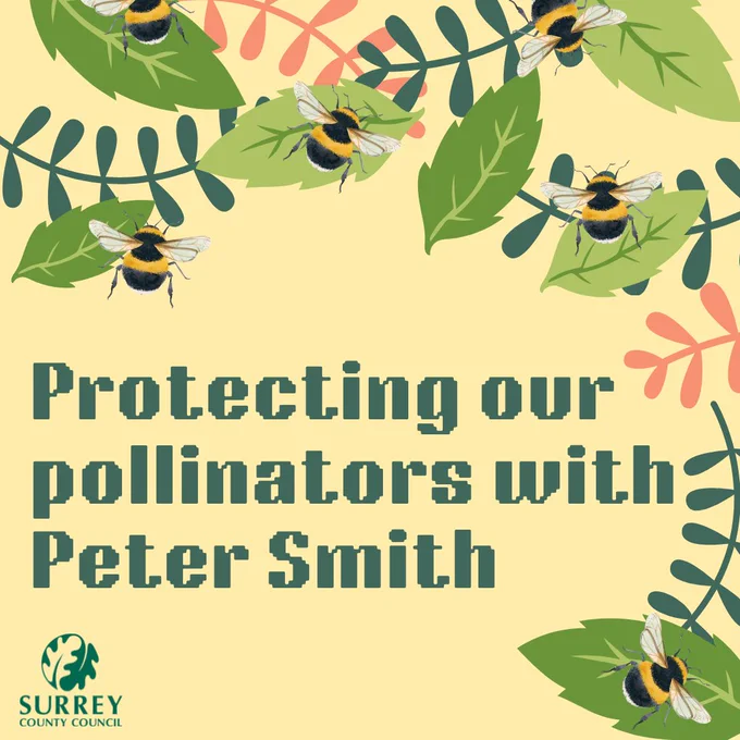 A poster promoting a talk at Dorking Library. The text says 'Protecting our pollinators with Peter Smith'.