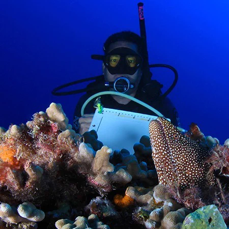 A scuba diver holding a clipboard peers over a healthy coral reef.