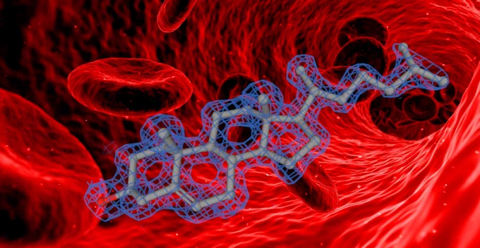Cholesterol molecule fitted to its electron density  swimming in a blood vessel