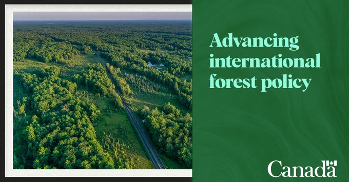 Aerial view of boreal forest in Muskoka Region, Ontario and graphic text: “Advancing international forest policy”