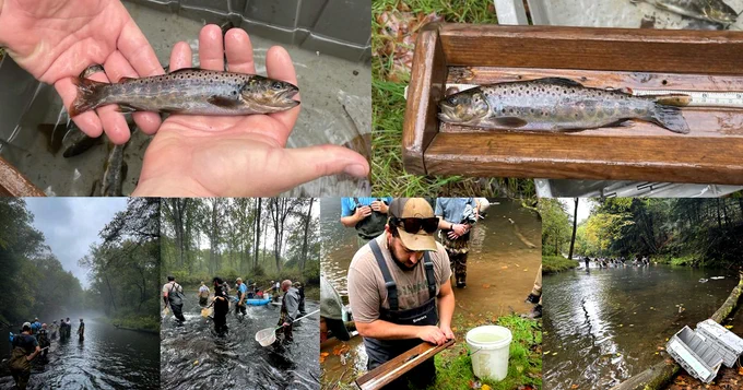 Fish being collected and studied by DNR biologists. The Gunpowder River was foggy and the leaves are starting to turn. 