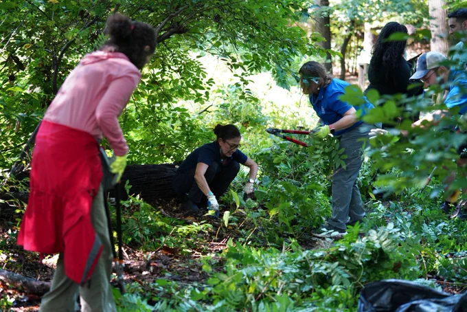 Interior Secretary Haaland removes invasive plants with student volunteers at Fort Dupont Park in Washington, DC.