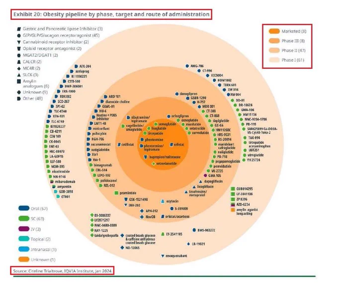 This overwhelming dominance and huge success in the obesity field has led of course to exponential growth in the size of obesity drug pipeline. According to IQVIA global - in January ‘24 there were 124 obesity agents in different stages of development up to regulatory approval