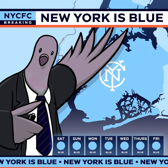 Graphic saying New York is Blue. 