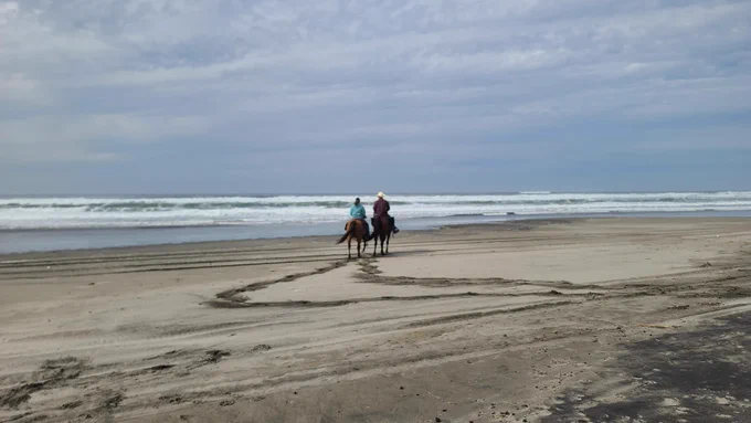 A pair of very well behaved chestnut horses with a guy and gal riding them