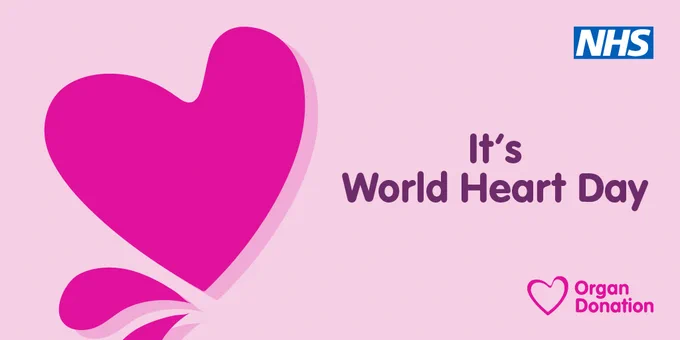 A graphic showing a big pink heart illustration alongside the wording 'It's World Heart Day'.