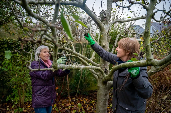 Older women gardening