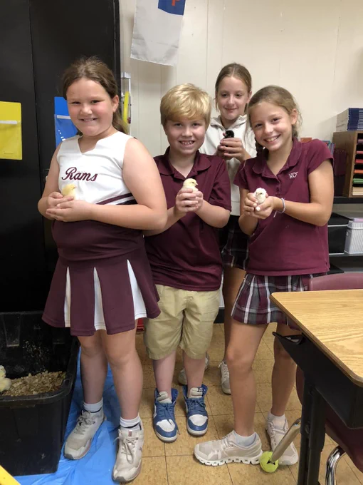 kids holding baby chicks
