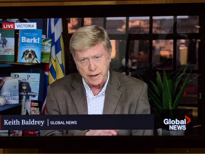 Keith Baldrey on Global News BC. A copy of Zazie Todd's new book Bark! Is on his bookshelf. The cover is blue with a cute Chihuahua. 