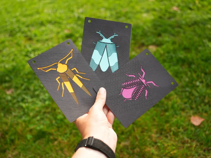 a hand holds three cards, each one shows a different beetle cut out from paper