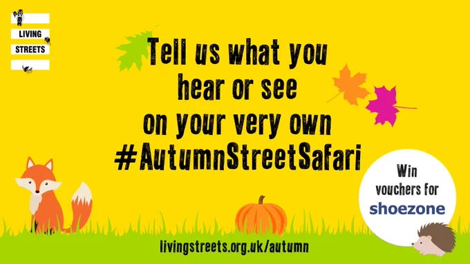 A graphic with a yellow background reads 'Tell us what you hear or see on your very own #AutumnStreetSafari'. There are stylised autumn leaves in the top right, and a fox and a pumpkin at the bottom. A bubble at bottom right reads: Win vouchers for shoezone