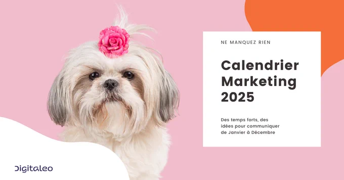 Calendrier marketing 2025