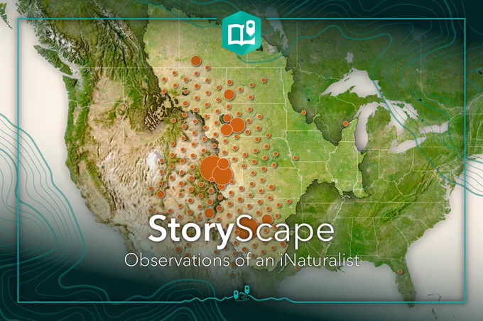 A dot density map of prairie dog habitat with "StoryScape. Observations of an iNaturalist" displayed across it